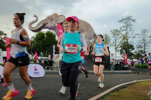 BIB: 
                            <button type="button" onclick="openModal(26528555)" class="btn btn-primary btn-sm float-right btn-popup" data-toggle="modal" data-target=".modal-high-quality">
                        <i class="fas fa-shopping-cart"></i> Add to Cart
                    </button>
                                            <button type="button" onclick="isThisMe(26528555, true)" class="btn btn-success btn-sm float-right btn-popup btn-isme hidden" data-toggle="tooltip" data-placement="bottom" title="นี่คือรูปของคุณใช่ไหม คลิกที่นี่เพื่อเอาเข้าอัลบั้ม">
                        <i class="fas fa-plus"></i> Add to album
                    </button>
                    <button type="button" onclick="isThisMe(26528555, false)" class="btn btn-warning btn-sm float-right btn-popup btn-isnotme hidden">
                        <i class="fas fa-ban"></i> Remove from album
                    </button>